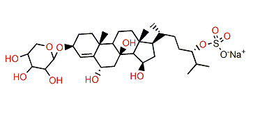 Pisasteroside E